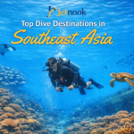 Diving Experience in Southeast Asia